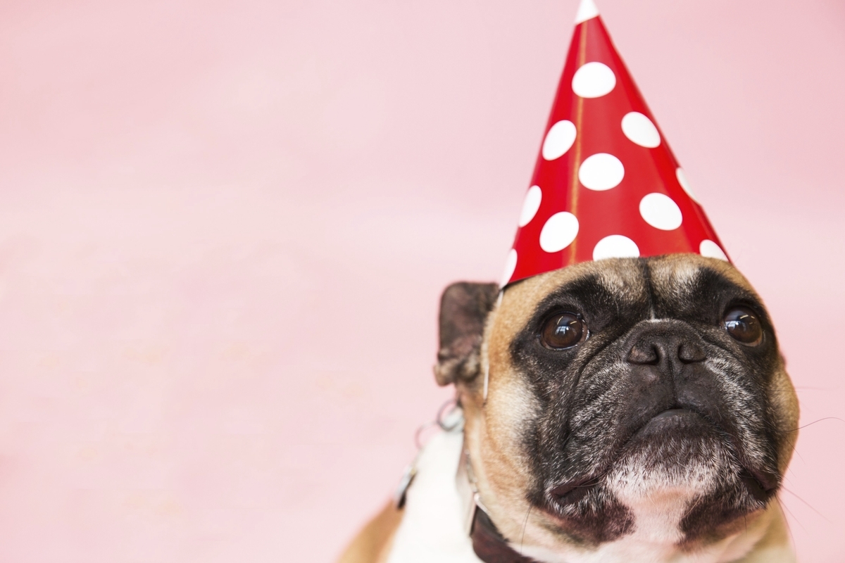Ten expert tips for capturing amazing birthday party photos